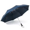 color: Blue