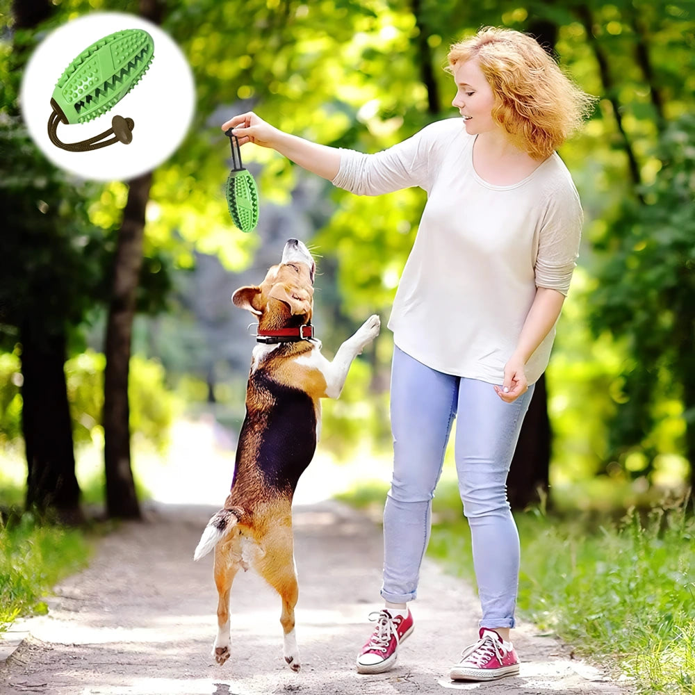 Rubber Chew Ball for Dogs