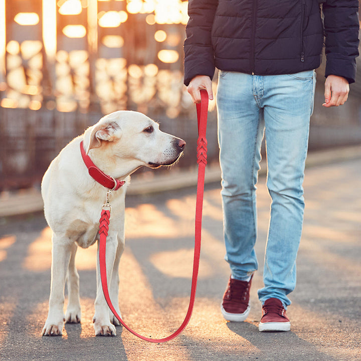 1.5m Genuine Leather Dog Leash