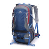 color: Navy