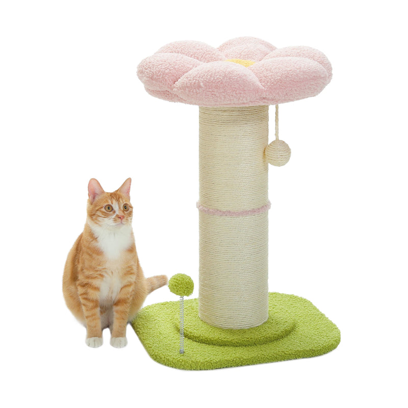 Small Cat Scratching Post with Sisal & Spring Ball Toy