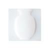 color: White