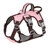 color: Pink
