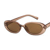 Lenses Color: Brown