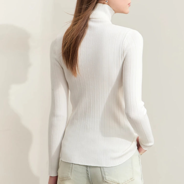 Elegant Autumn Turtleneck Sweater