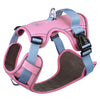 color: Pink