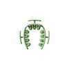 color: Green
