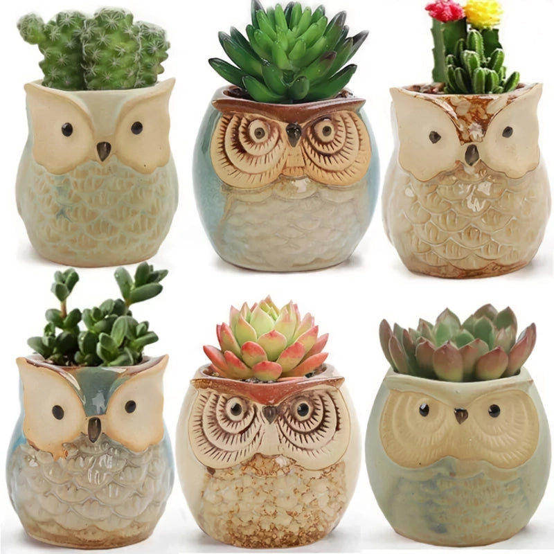 Mini Owl Ceramic Plant Planter