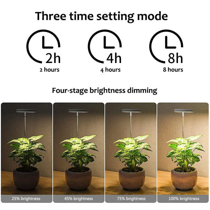 LED Angel Ring Plant Grow Light with Adjustable Height & Timer