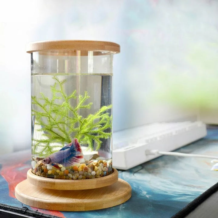 Rotatable Mini Fish Tank