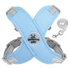 color: Sky blue
