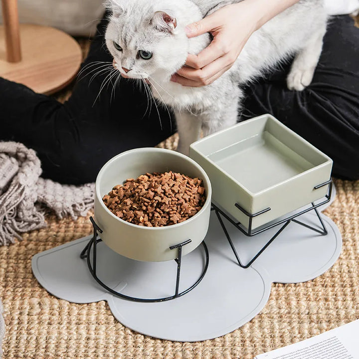 Elevated Ceramic Food and Water Bowl