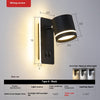 Light Color: Black