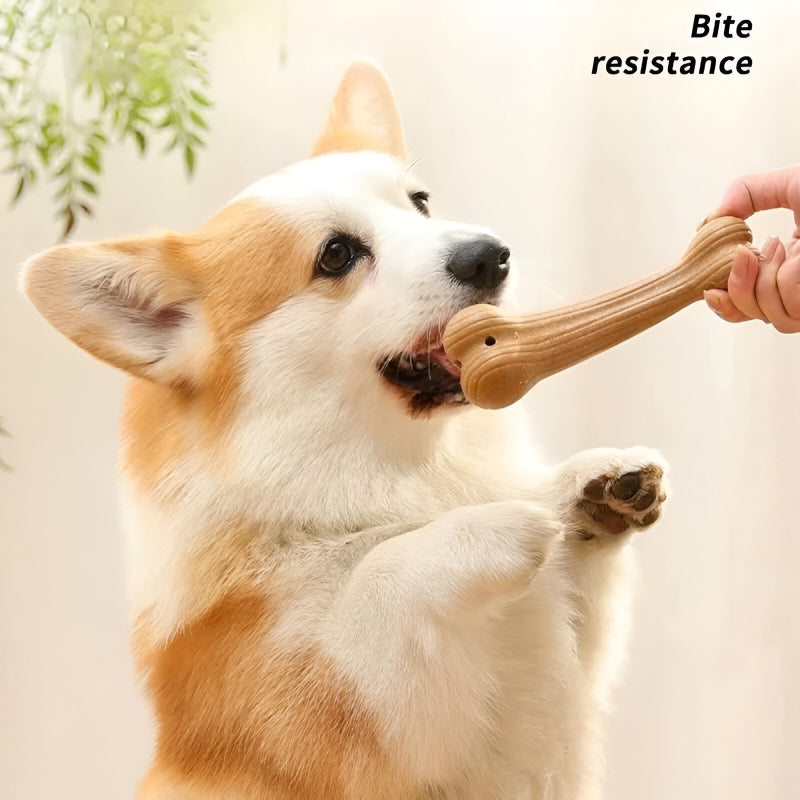 Bite-Resistant Dog Chew Toy