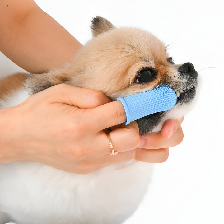 Super Soft Pet Finger Toothbrush