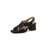 color: Black