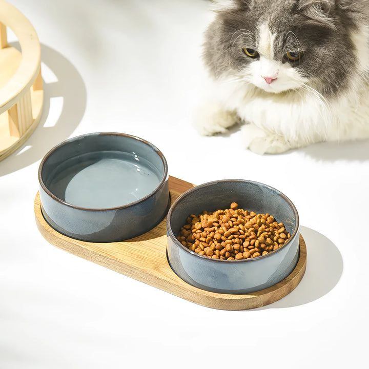 Ergonomic Ceramic Cat & Dog Food Bowl with Spine Protection and Anti-Rollover Design