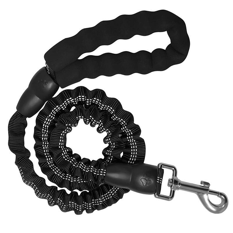 Stretchable Dog Leash