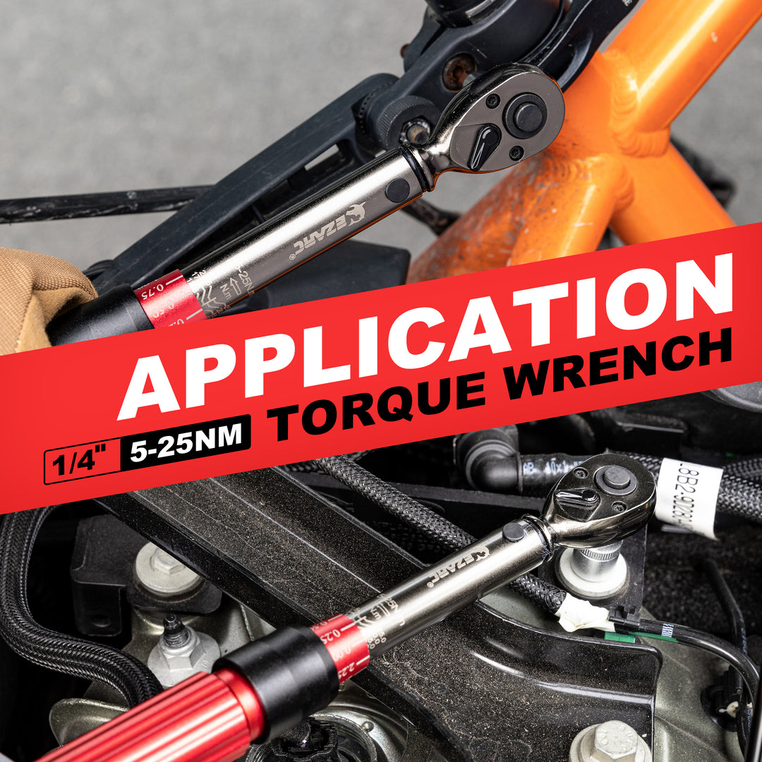 16-Piece Precision Torque Wrench Set