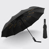 color: Black