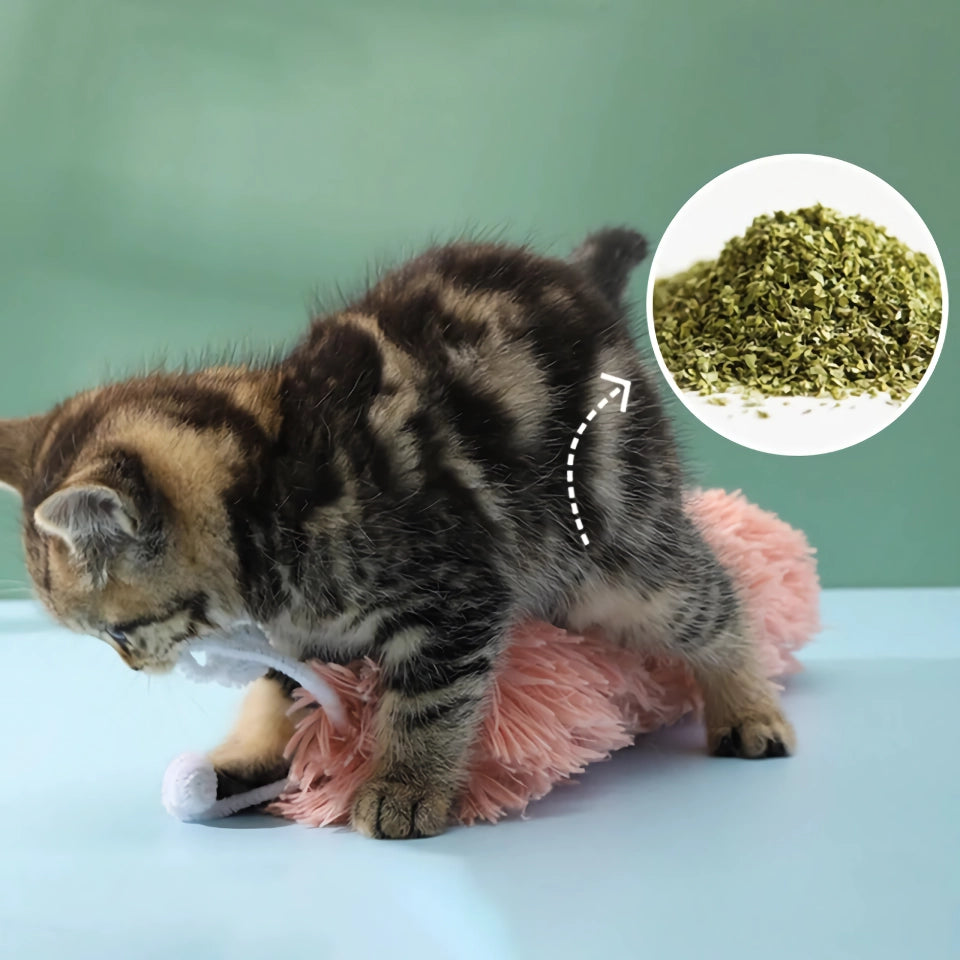 Interactive Catnip Chew Toy - Bite-Resistant Plush Worms for Cats