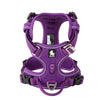 color: Purple