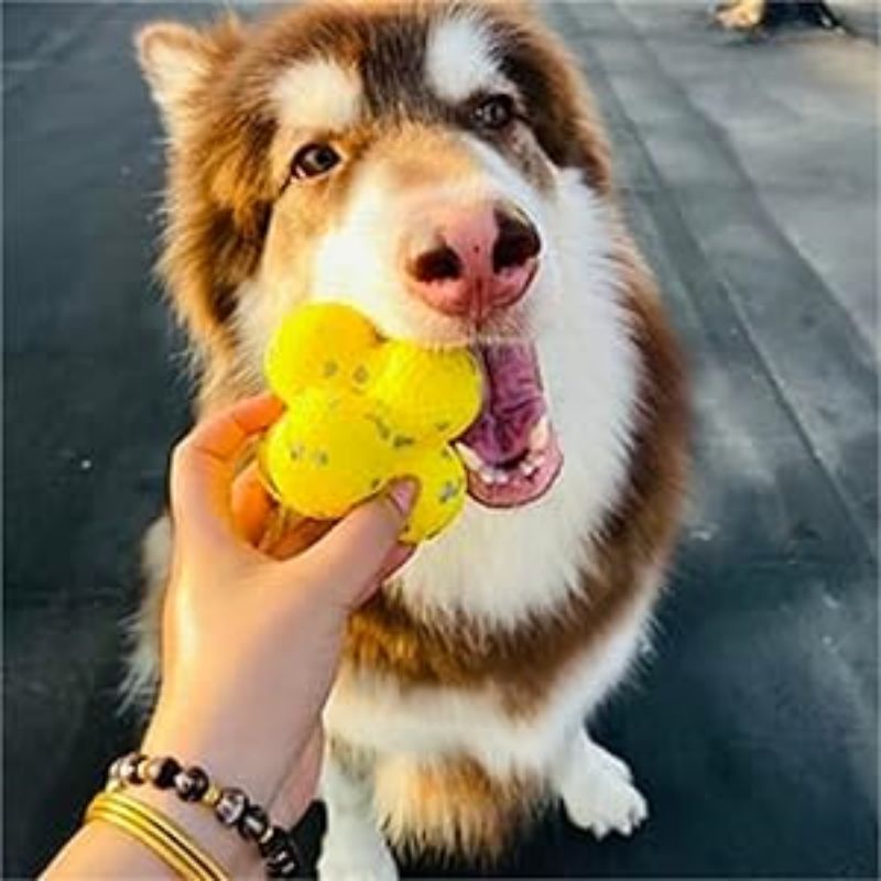 The Mellow Dog Calming Ball Mellow Dog Tennis Ball, Mellow Dog Emotional Support Ball