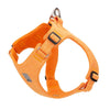 color: Orange