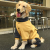 color: Yellow