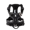 color: Black