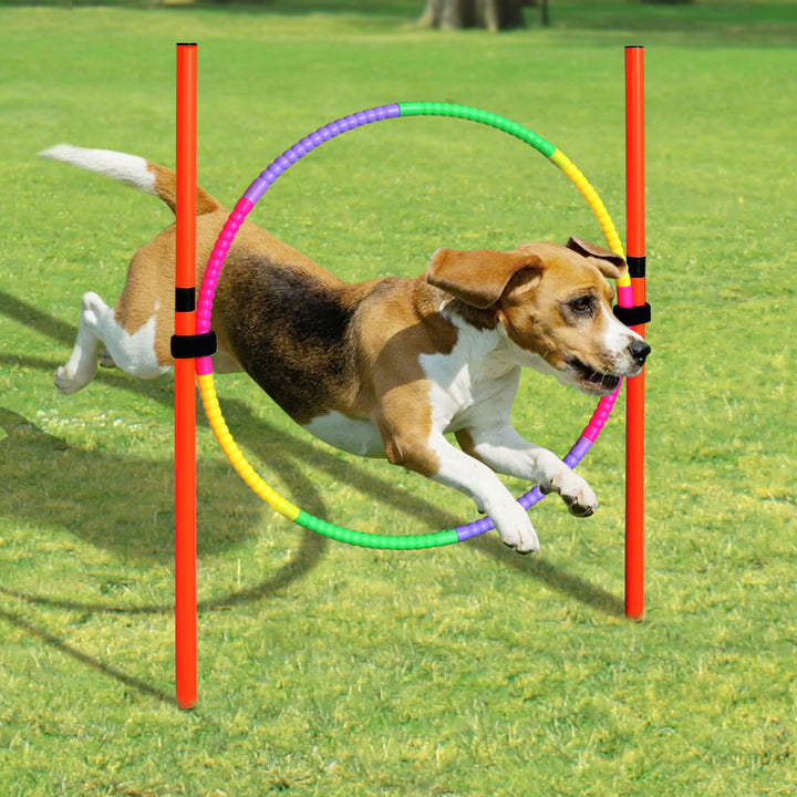 Portable Dog Agility Training Equipment