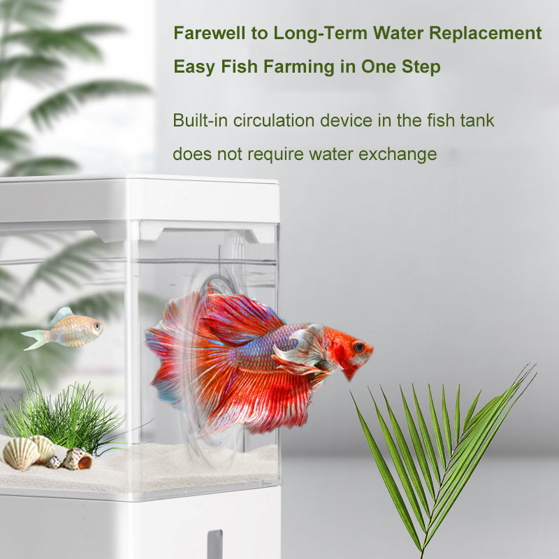 Compact Aquascape USB Fish Tank with Adjustable LED Lighting & Automatic Filtration