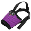 color: Purple