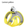 color: Lemon Yellow