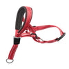 color: Red