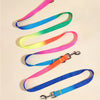 color: Multicolor