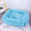 color: Blue