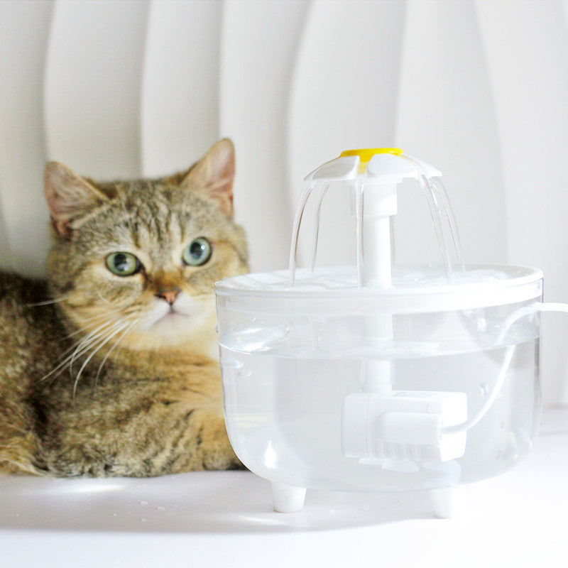 1000ML USB Cat Water Fountain with Auto Filter &amp; Prevention Pump Sensor