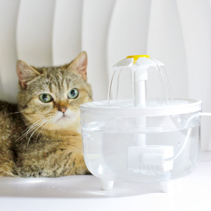 1000ML USB Cat Water Fountain with Auto Filter &amp; Prevention Pump Sensor