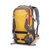 color: Yellow