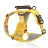 color: Yellow