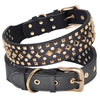 color: Black