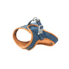 color: Orange