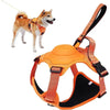 color: Orange