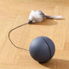 color: Gray