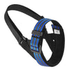 color: Blue