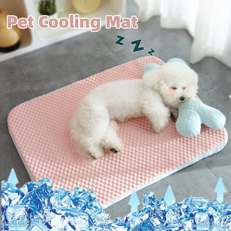 Pink Pet Mat with Bone-Shaped Pillow