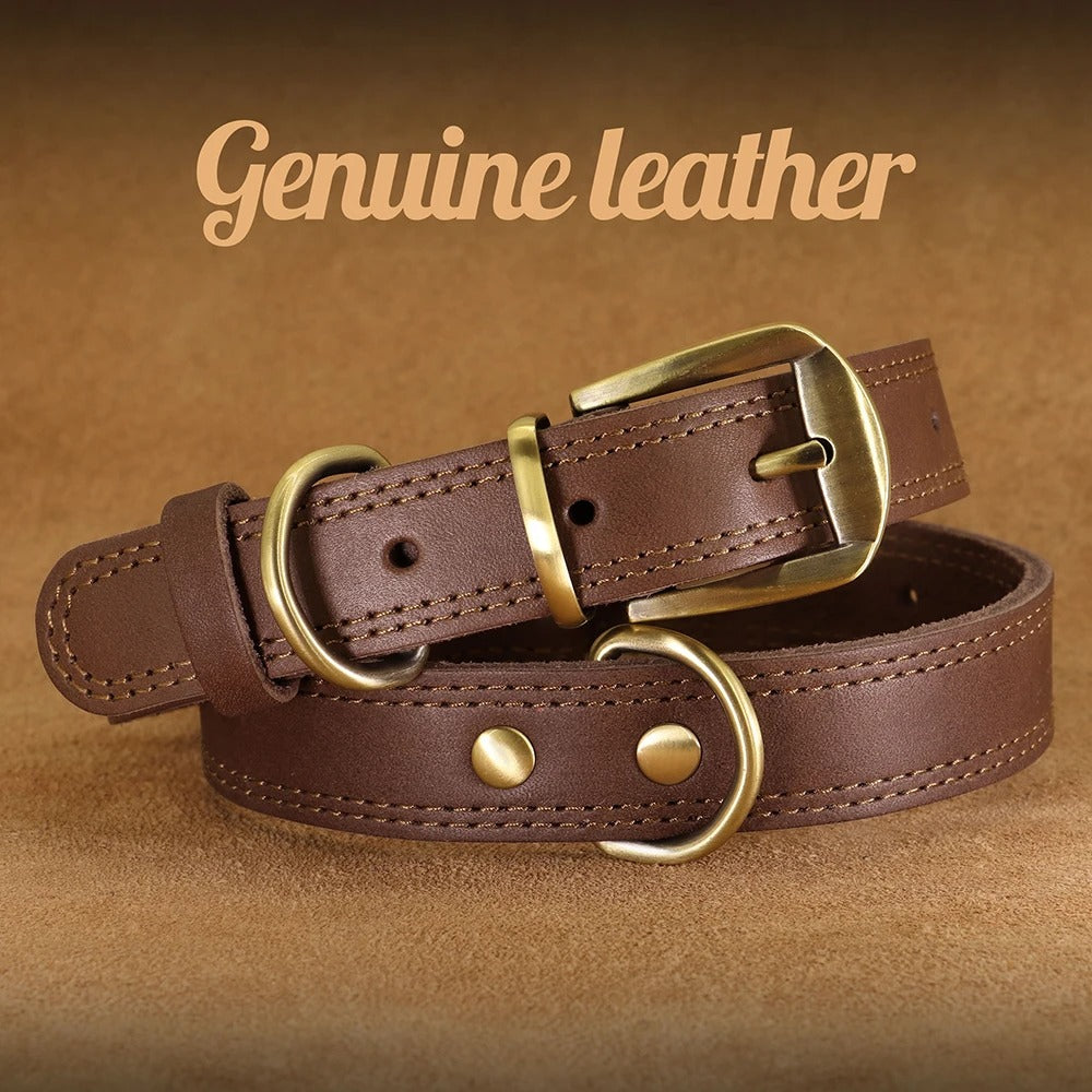 Genuine Leather Dog Collar Durable and Adjustable for Small and Large Dogs