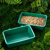 color: Green