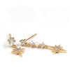 Color: AB Star Earrings
